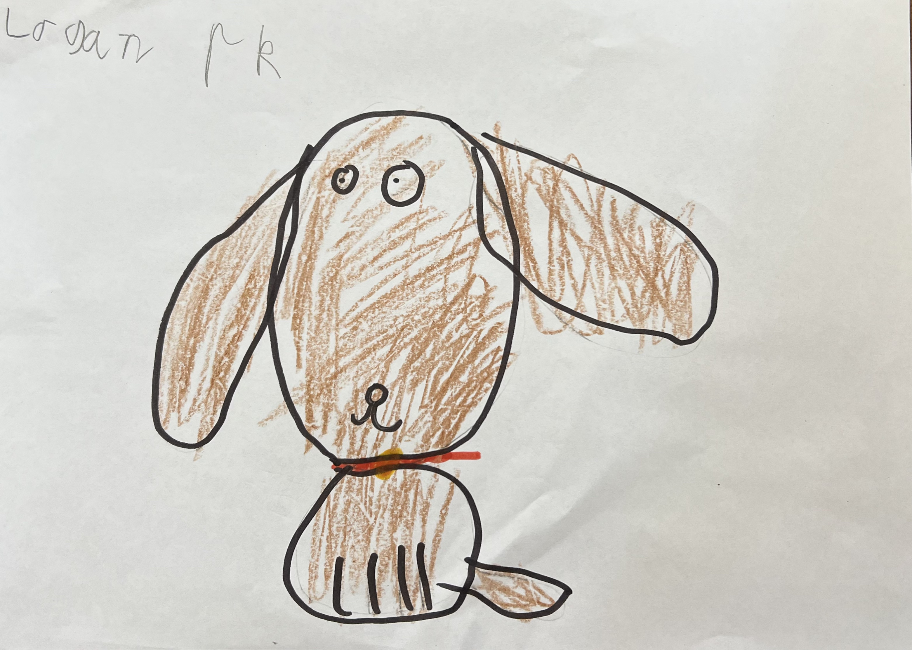 /uploaded_files/media/gallery/1634865692Logan's Dog 2 15102021.jpg